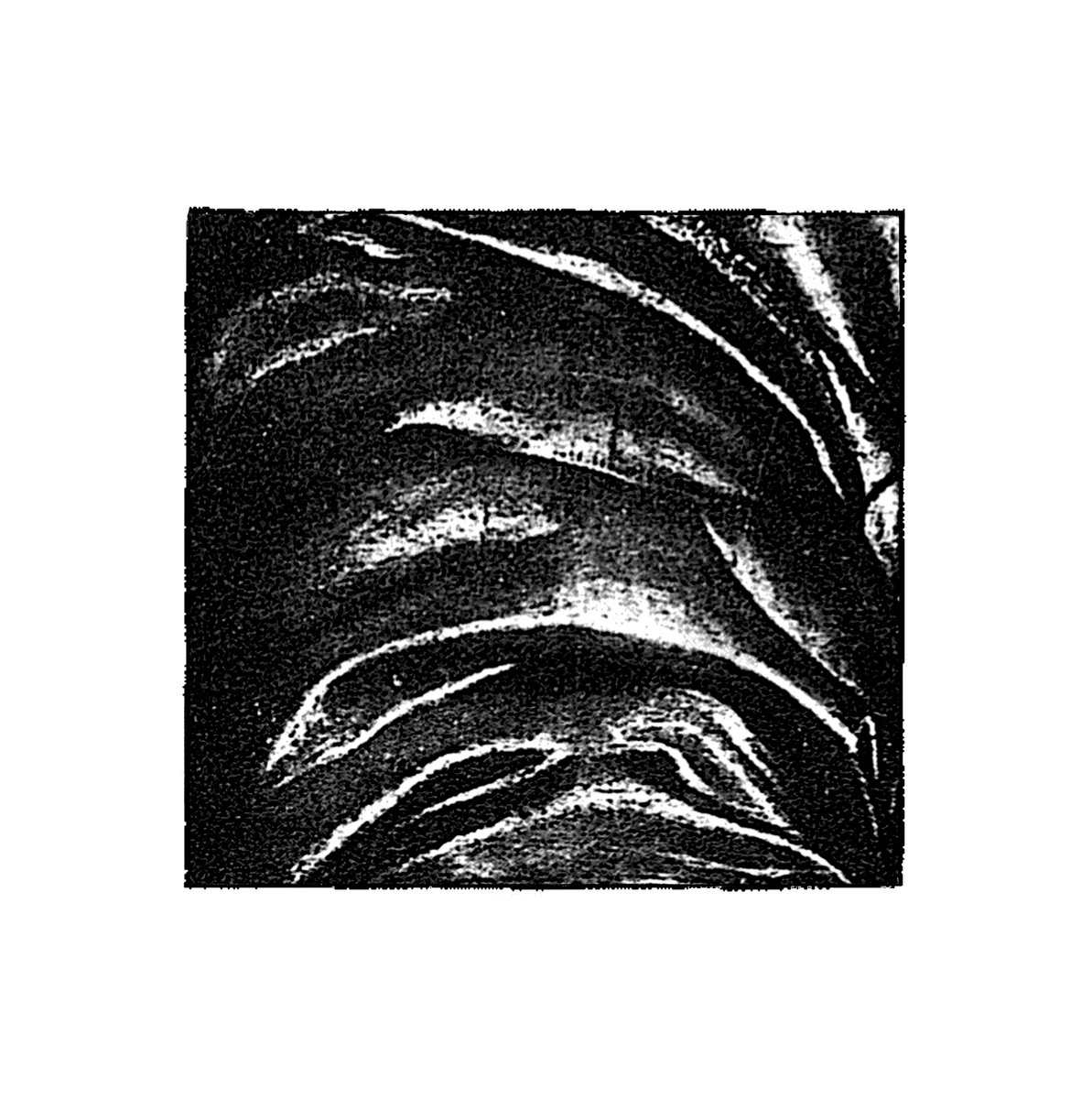 Florian TM Zeisig — Coatcheck cover art